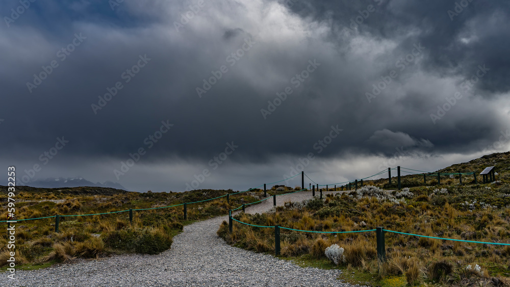 A gravel path for tourists with a rope fence, climbs the hill. On the roadsides - stunted plants of Patagonia- grasses, flowering bushes. Grey rain clouds in the sky. Bridges Island. Argentina
