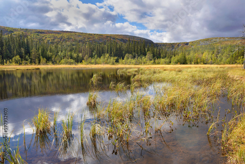 beautiful view on a lake in a sweden national park with hill and forest background