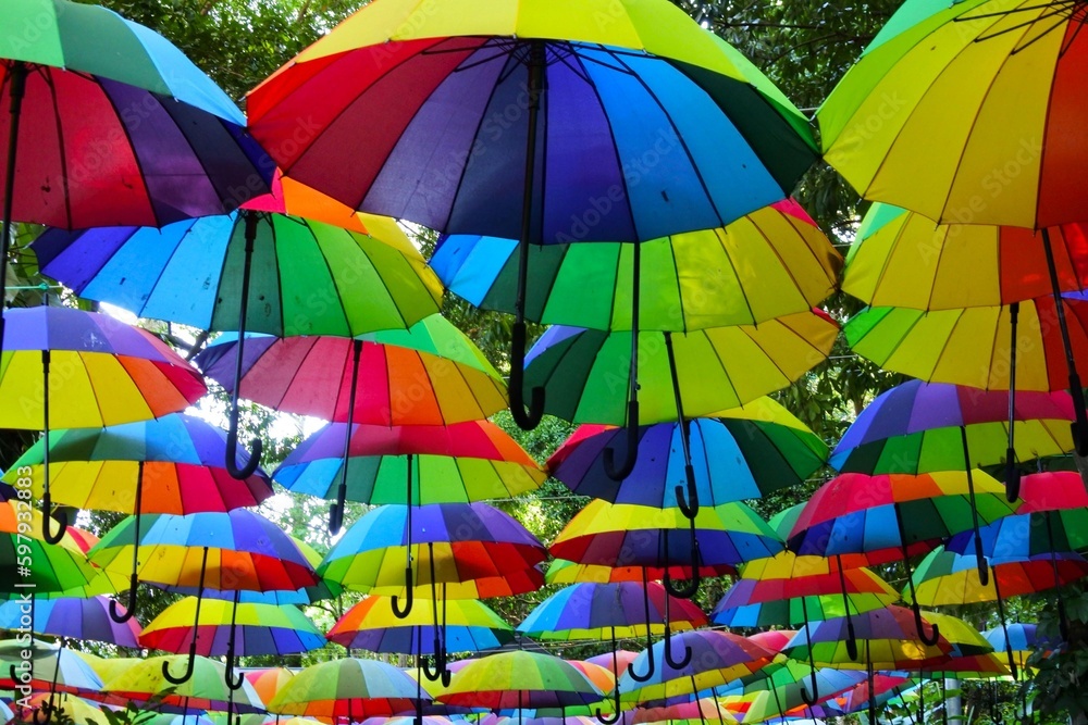 Many colorful umbrellas hanging from a trees