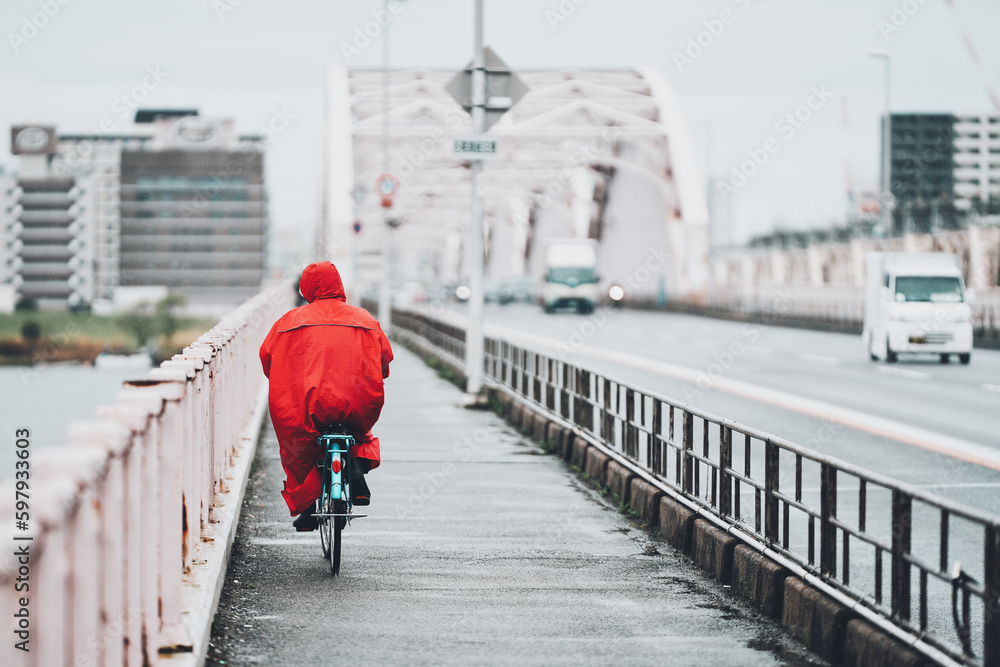 自転車に乗る人の後ろ姿 自転車に乗る人の後ろ姿