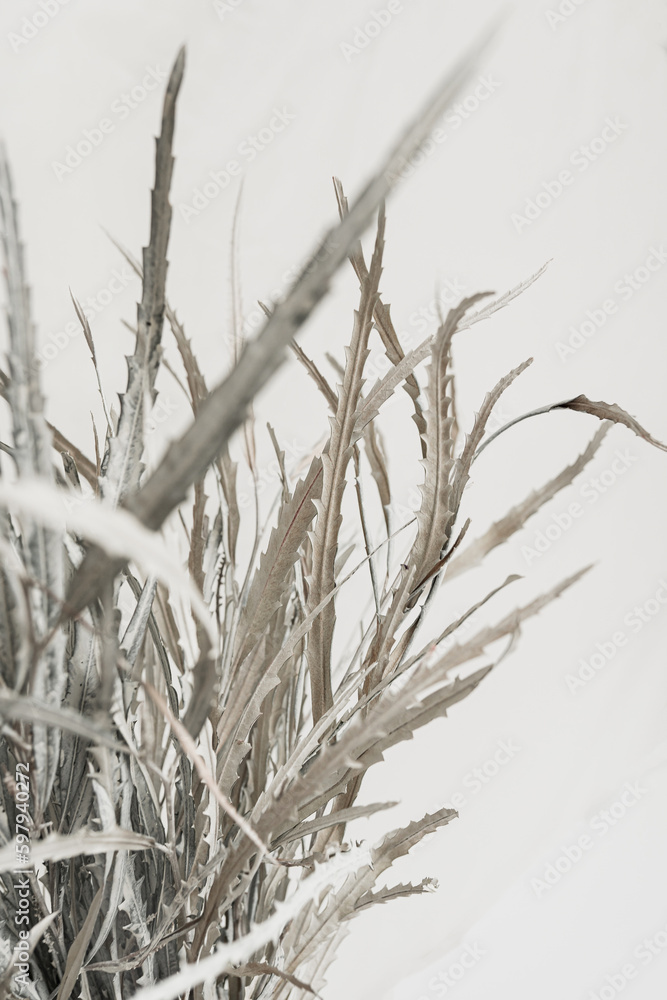 Obraz premium Dried white leaves bouquet on white background. Minimal floral holiday composition