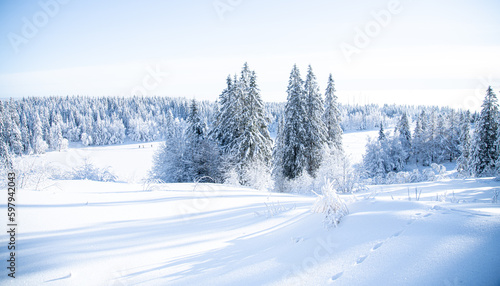 Winter in Norway  © Michal