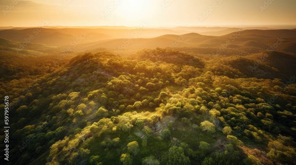 A stunning aerial view of the lush green forests and rolling hills of Western Australia on a bright and sunny day, with the warm orange hues of the sun setting in the distance. generative ai