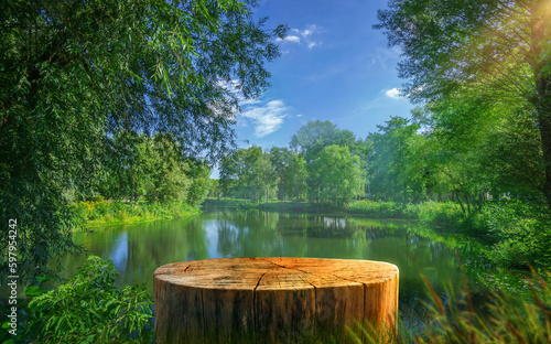 Tree Table wood Podium in front of lake of the farm, a stand of display for food, perfume, and other products on nature background, Table in a farm with river and grass, Sunlight at morning © MoEsam