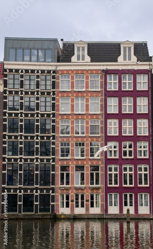 colored houses on the canals of Amsterdam
