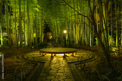 Bamboo forest path in Shuzenji, izu, Japan