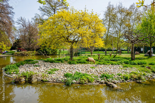 Dans le Parc Jouvet à Valence photo