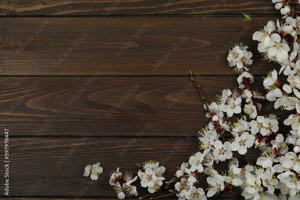 A dark wooden brown background with spring white apricot blossom on it and copy space A dark wooden brown background with spring white apricot blossom on it and copy space