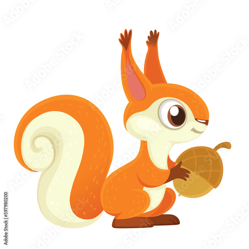 Cute cartoon orange squirrel holding an acorn in paws isolated on white background