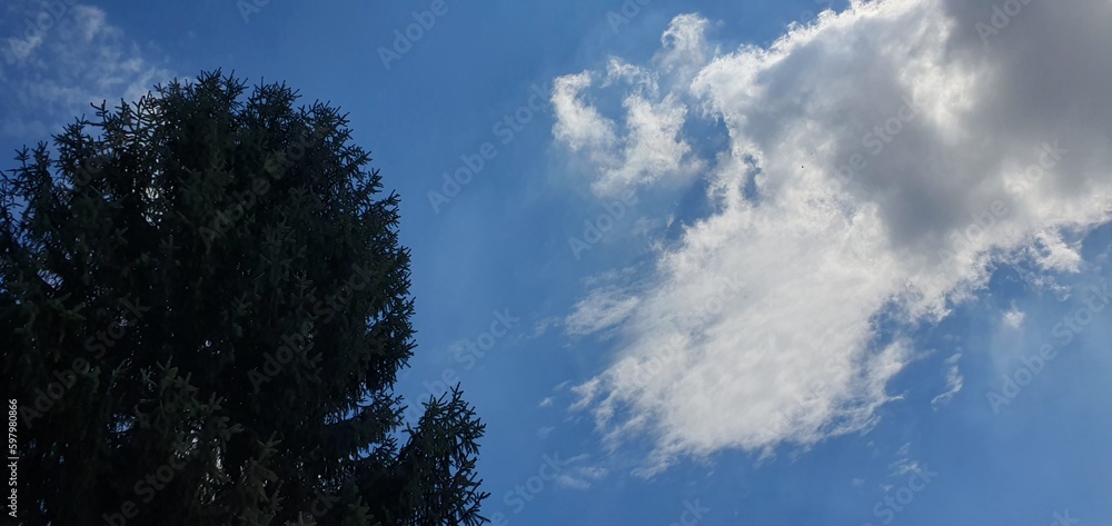 sky and clouds sky and clouds