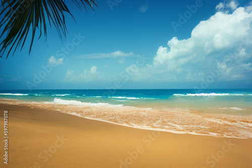 Tropical beach with palm leaves and blue sky with white clouds