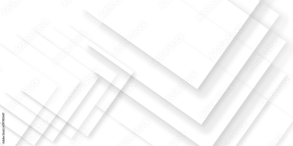 Fototapeta premium Abstract geometric background . Abstract background with lines . Gray and white texture background . white and gray paper triangle abstract background. white paper texture and business ,card,flyer .