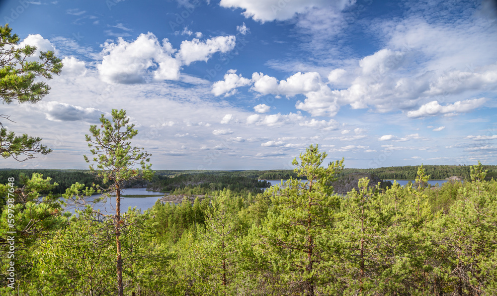 Fototapeta premium landscape with lake or sea view. Green forest. Coniferous trees on the shore of the reservoir. Summer landscape. Sunny warm weather. Desktop screensaver. Summer background with nature. Blue sky. outdo