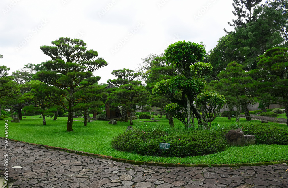 Taman Bunga Nusantara or Nusantara Flower Park The overall garden is very wide and it consists of smaller gardens with different themes. natural attractions with views full of flowers