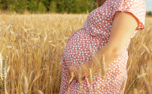 Photo of pregnant belly in nature. Pregnant woman in dress holds hands on belly on natural background of wheat field with haystacks at summer day. Concept of pregnancy, maternity. Close-up, outdoors