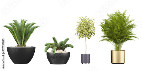 Garden Variety; High-Quality Transparent Plant Cut-Outs for illustration, digital composition and architecture visualization