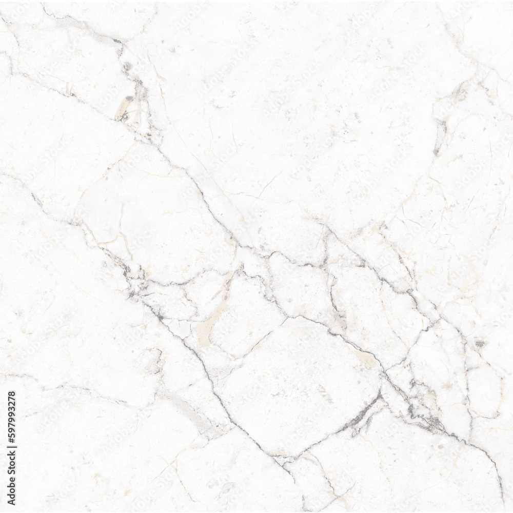 Fototapeta premium gray fine veined white marble background