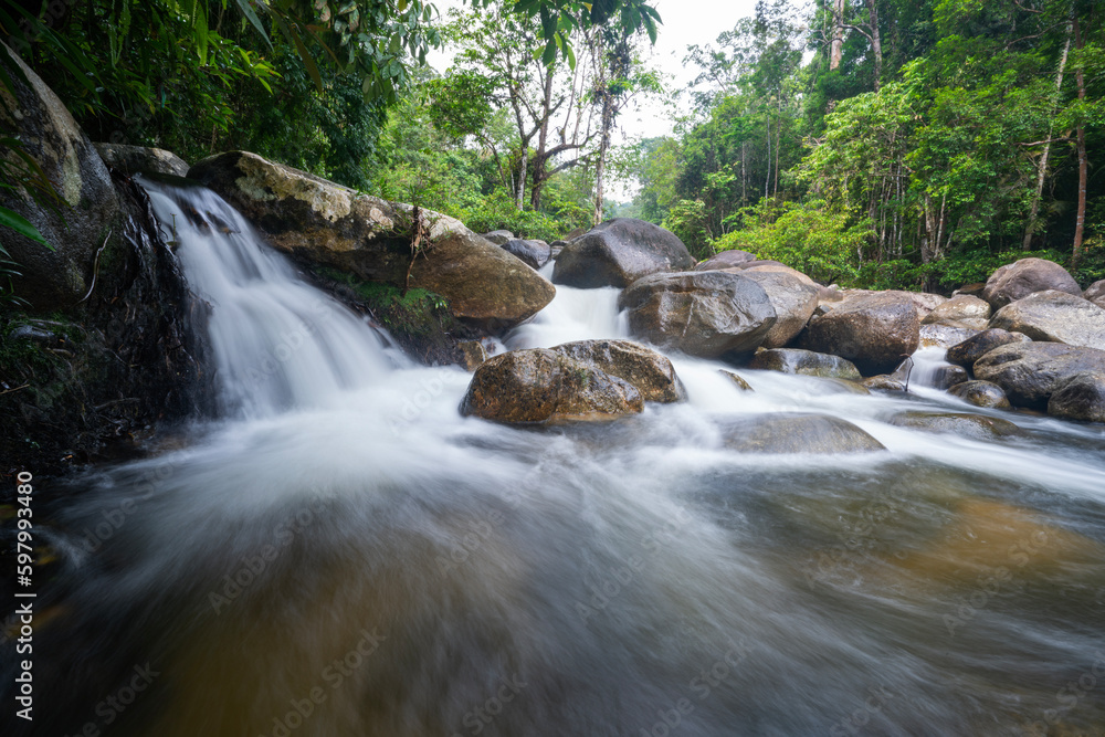 waterfall in the forest