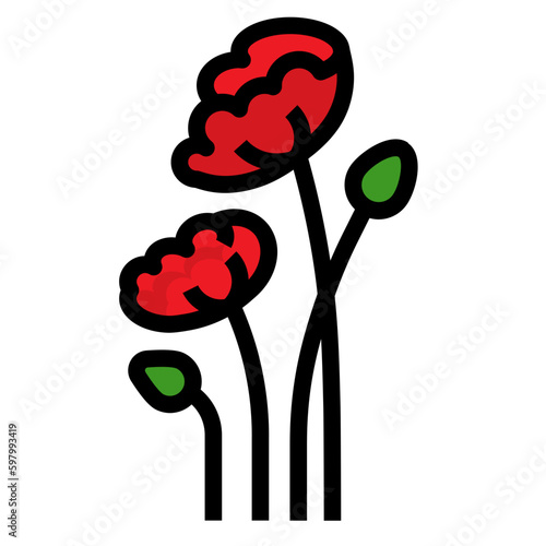 Poppy