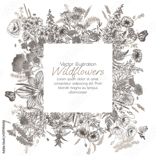 Vector frame of wild flowers and herbs. Chamomile, clover, chicory, poppy, cornflower, bluebells, periwinkle, buttercup, St. John's wort, fern, veronica, nettle, plantain, coltsfoot in engraving style