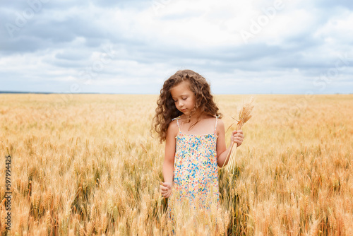 A young girl walking in a wheat field, girl in the field, wheat field, field of spikeletsA young girl walking in a wheat field, girl in the field, wheat field, field of spikelets