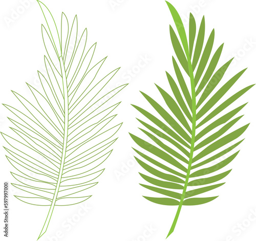 palm tree leaf vector icon arts