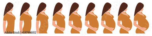 Pregnant woman with growing belly by months. Changes in woman's body in pregnancy. Pregnancy stages. Faceless vector isolated illustration on transparent background.