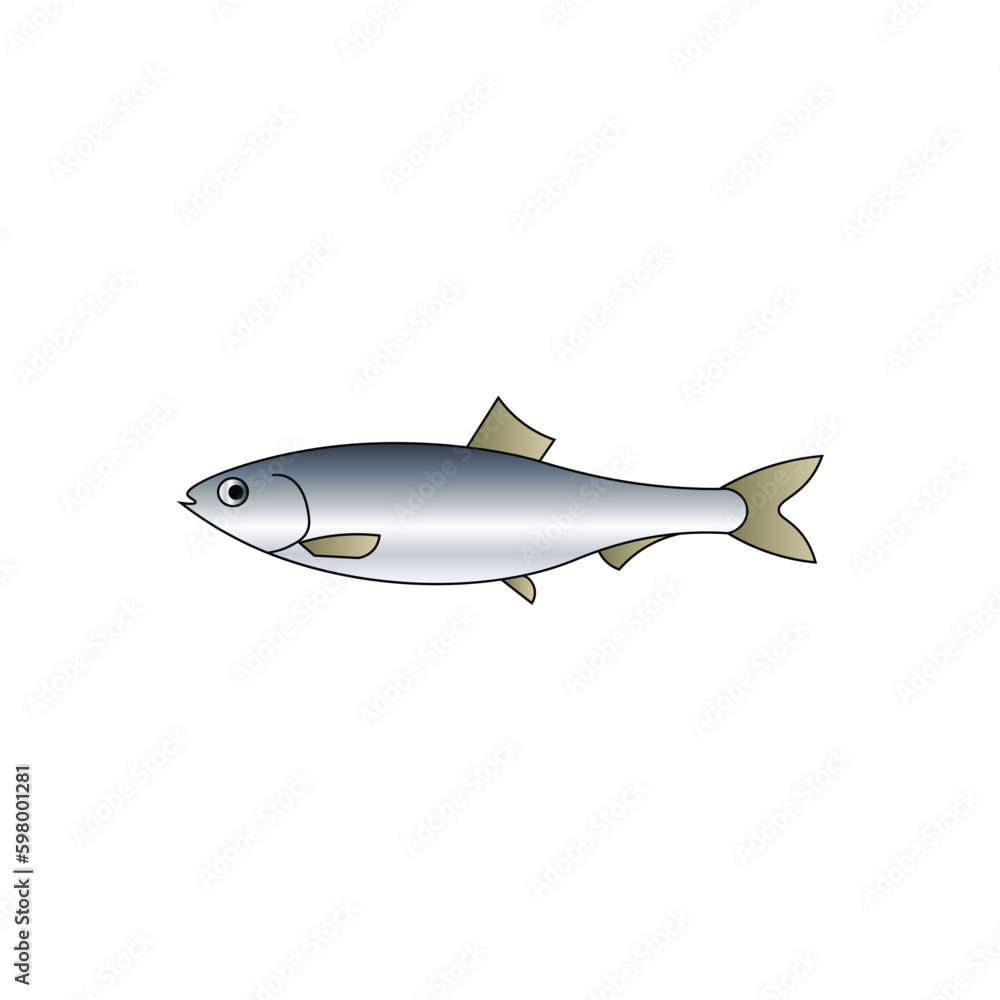 Fototapeta premium set of fish vector isolated on white background.animal, fish, fishing, grass carp fish, seafood, sea, food, ocean, meat, cooking, water, freshwater, catch, blue, clipart, sticker, vector illustration