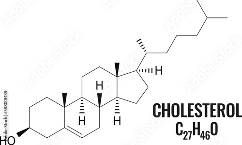 Cholesterol formula, chemical model of molecule