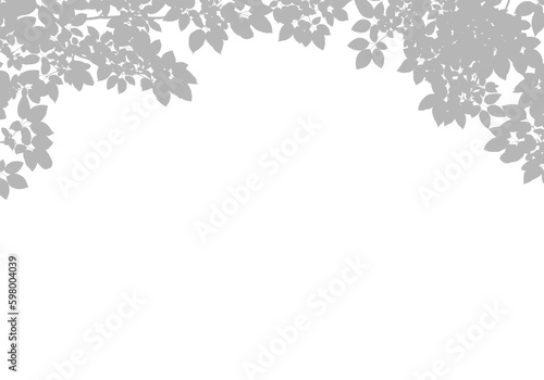 Abstract shadow black white leaf shadow on a white background. Blank copy space.