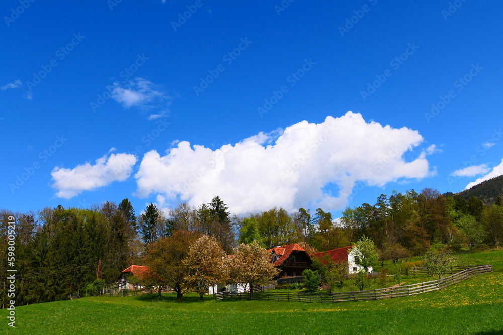 Obraz premium Bauernhof an der steirischen Apfelstraße