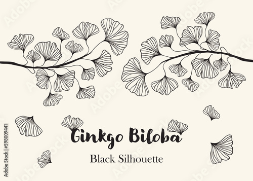 Floral hand drawn background. Botanical line art wallpaper with flowers. Hand drawn ginkgo biloba set, texture for banner, prints, wall art and home decor, wallpaper, decorative hand drawn flower