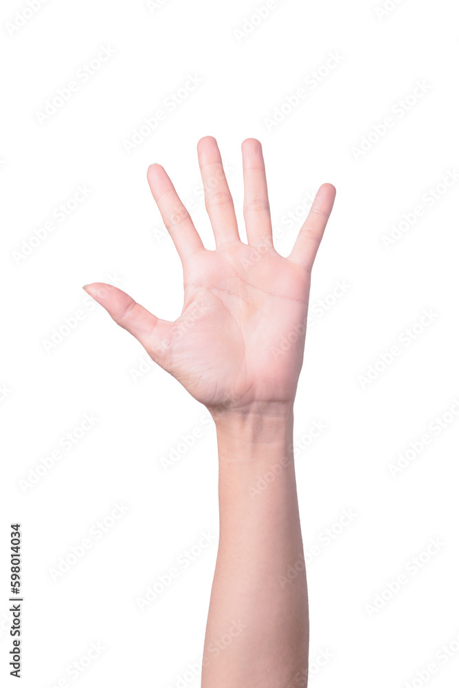 Woman hand raised with five fingers spread on white background Woman hand raised with five fingers spread on white background