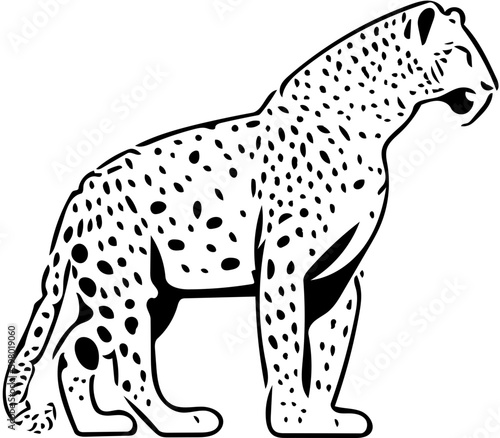 Cheetah vector illustration   Silhouette of a Leopard   Vector    Digital art