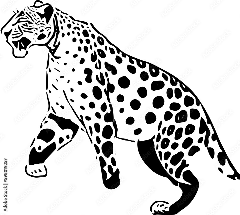 Leopard on a white background | Leopard vector illustration digital art Leopard on a white background | Leopard vector illustration digital art