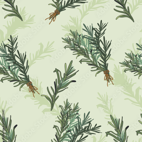 Rosemary aromatic and cooking herb seamless pattern design vector illustration. Rosemary plant twigs in decorative seamless pattern texture for packaging design.