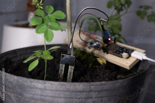 Soil moisture sensor is controlled by an Arduino microcontroller, programmed to send moisture values to a smartphone. Internet of Things.