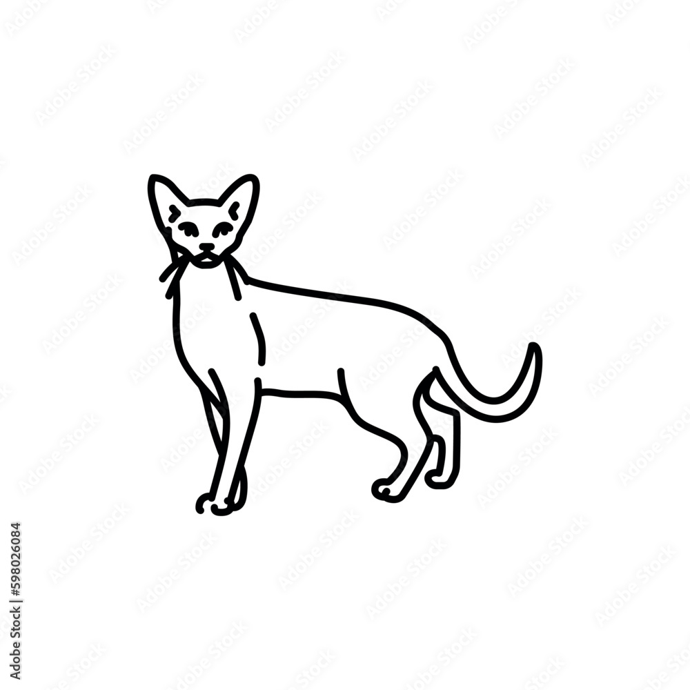 Abyssinian cat black line icon. Farm animals. Abyssinian cat black line icon. Farm animals.