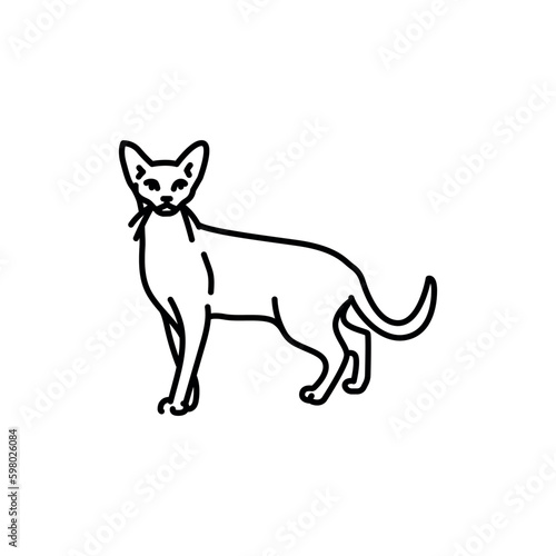 Abyssinian cat black line icon. Farm animals.