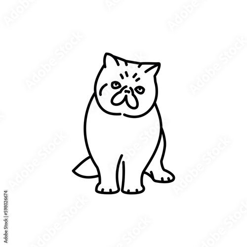 Exotic shorthair cat black line icon. Farm animals.