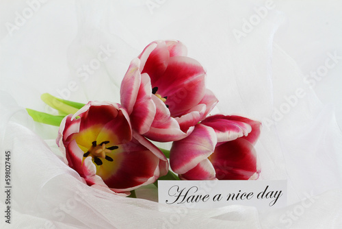 Have a nice day card with beautiful Dutch tulips on white textile
