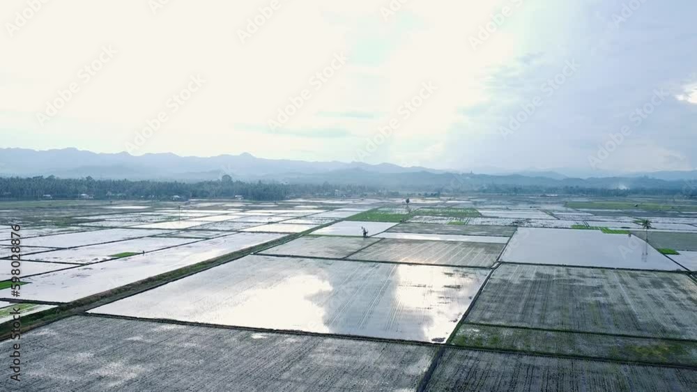 4k. The Paddy Rice Fields of sulawesi, indonesia 4k. The Paddy Rice Fields of sulawesi, indonesia