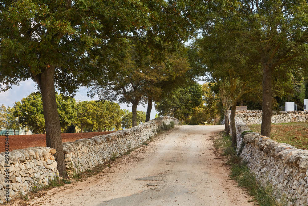 Typical Tuscany road along cypresses