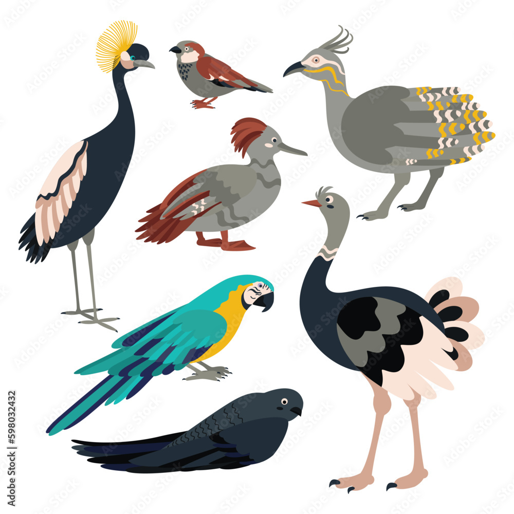 Set of birds crane, sparrow, tinamou, duck, parrot, swift, ostrich. Set of birds crane, sparrow, tinamou, duck, parrot, swift, ostrich.