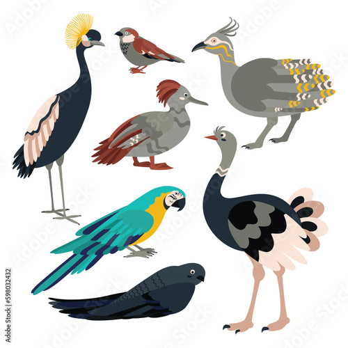 Set of birds crane, sparrow, tinamou, duck, parrot, swift, ostrich.