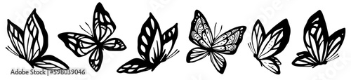 Vector set of illustration of beautiful different butterfly with wing on white color background. Flat line art style design of black and white flying butterfly