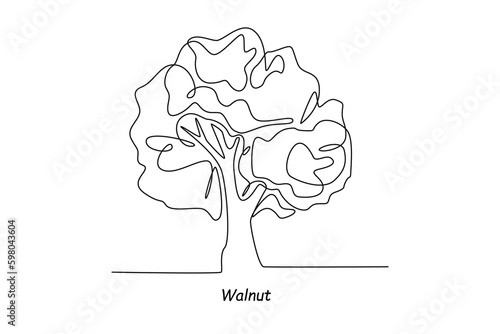 Single one line drawing walnut tree. Tree concept. Continuous line draw design graphic vector illustration.