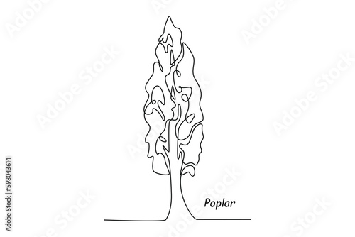Single one line drawing poplar tree. Tree concept. Continuous line draw design graphic vector illustration.