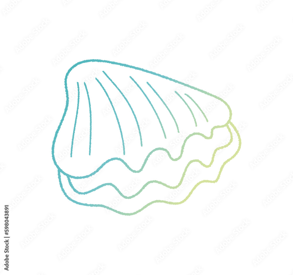 貝がらの手書き線画ベクターイラスト 貝がらの手書き線画ベクターイラスト