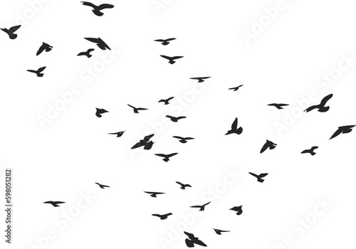 A flock of flying birds silhouette, flight in different positions. Hover, soaring, landing, flying, flutter. Isolated vector © Mar